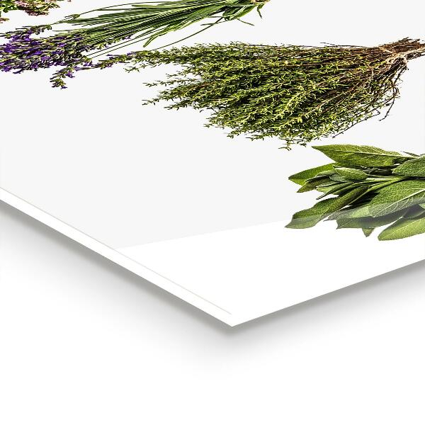 Kitchen splashback Dried herbs power of nature