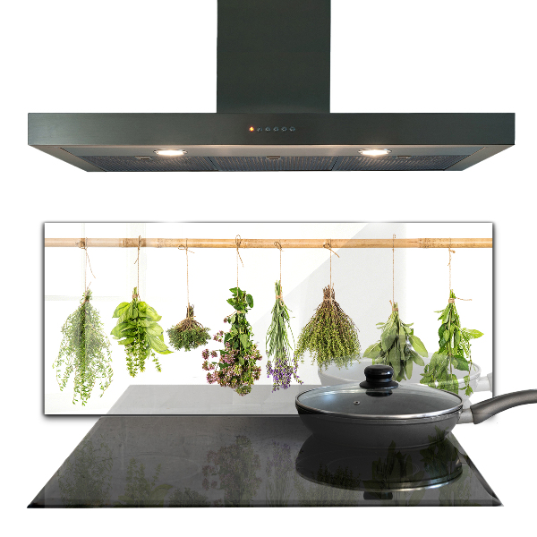 Kitchen splashback Dried herbs power of nature