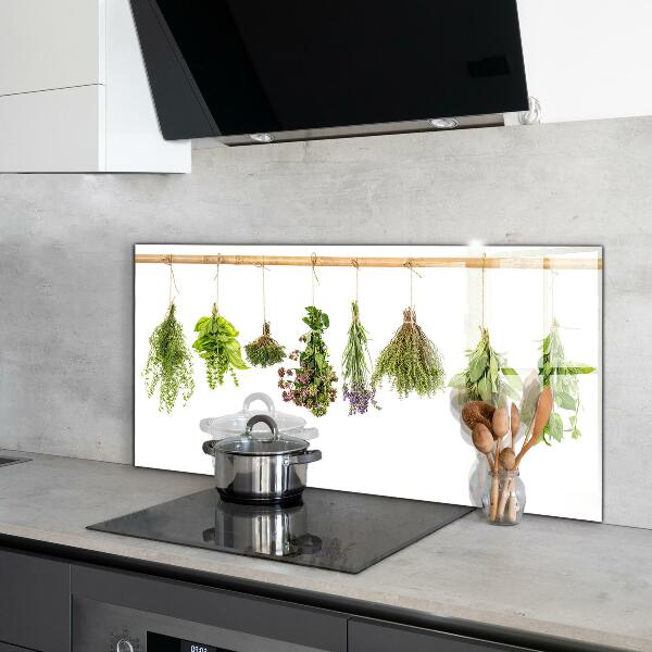 Kitchen splashback Dried herbs power of nature