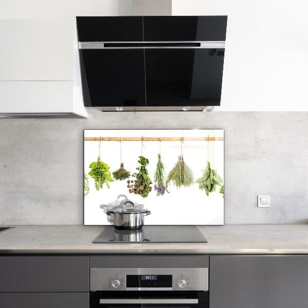 Kitchen splashback Dried herbs power of nature