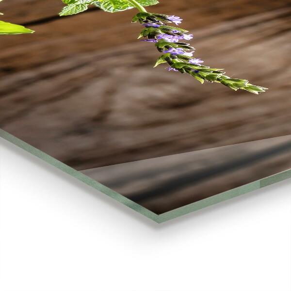 Kitchen splashback Stone mortar spices