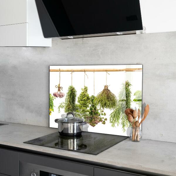 Kitchen splashback Dried herbs herbal medicine