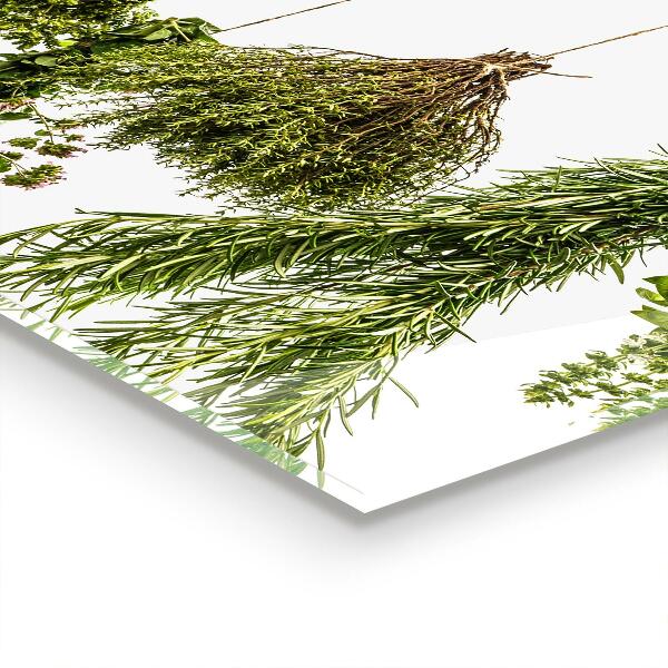 Kitchen splashback Dried herbs herbal medicine