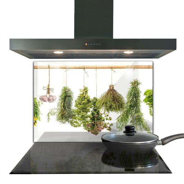 Kitchen splashback Dried herbs herbal medicine