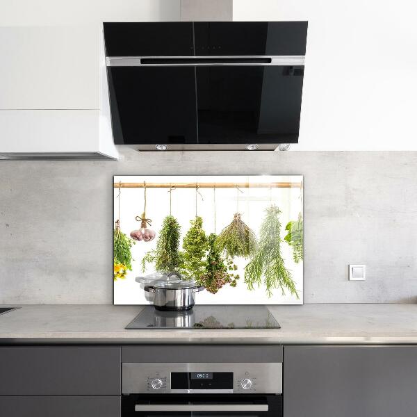 Kitchen splashback Dried herbs herbal medicine
