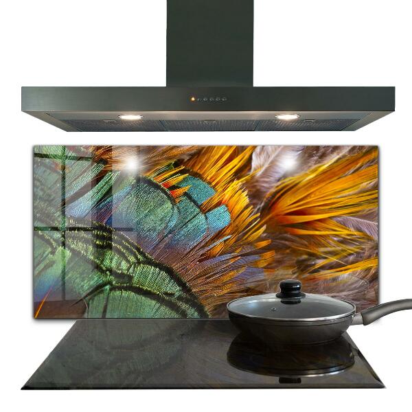 Oven splashback Exotic feathers