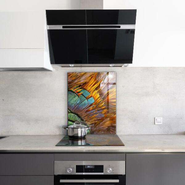 Oven splashback Exotic feathers