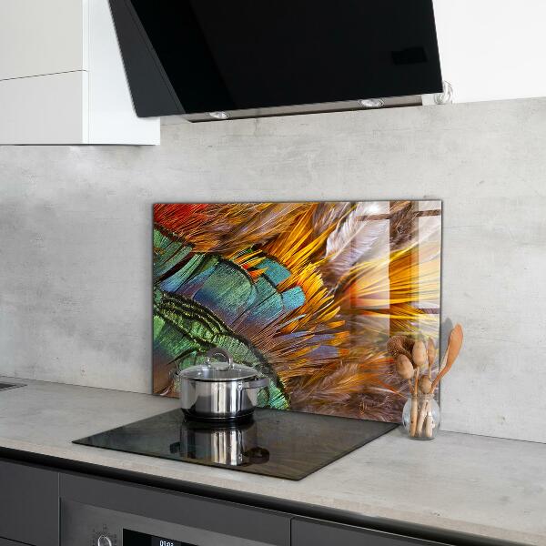 Oven splashback Exotic feathers