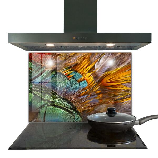 Oven splashback Exotic feathers