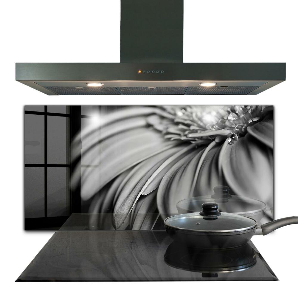 Kitchen splashback Gerber black and white photo