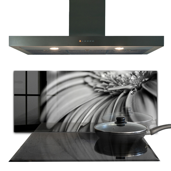 Kitchen splashback Gerber black and white photo