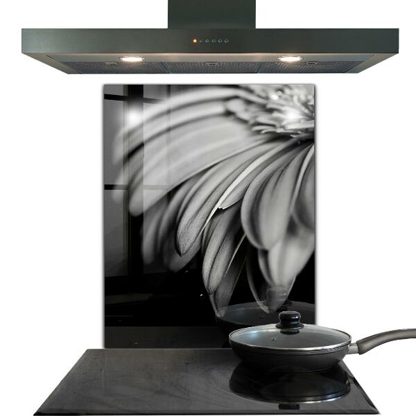 Kitchen splashback Gerber black and white photo