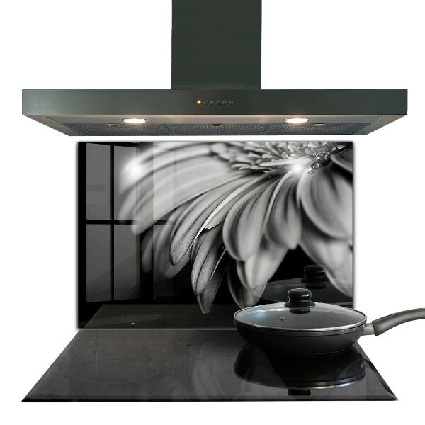 Kitchen splashback Gerber black and white photo