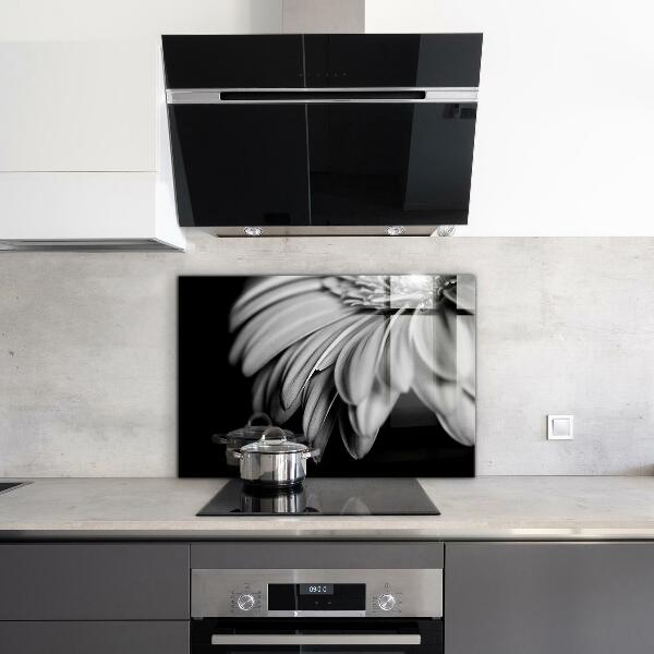Kitchen splashback Gerber black and white photo