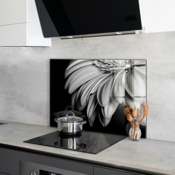 Kitchen splashback Gerber black and white photo