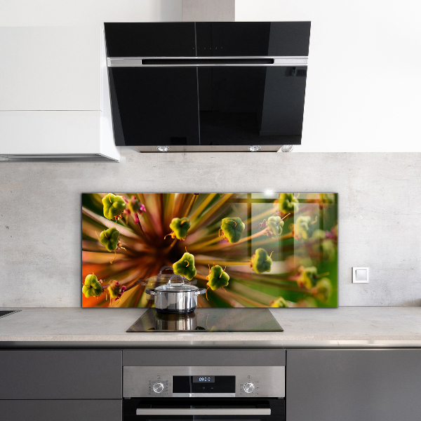 Kitchen splashback Flower macro photography