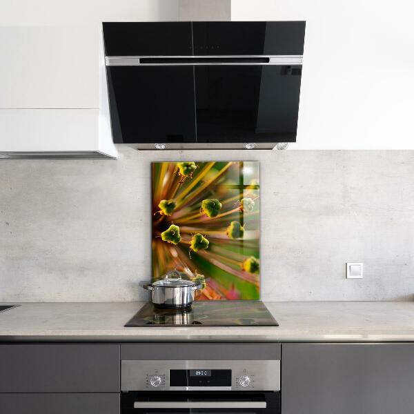 Kitchen splashback Flower macro photography