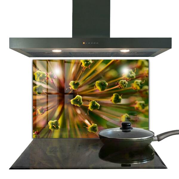 Kitchen splashback Flower macro photography