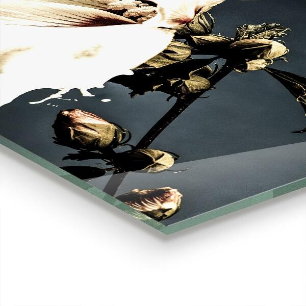 Kitchen splashback Abstract white flower