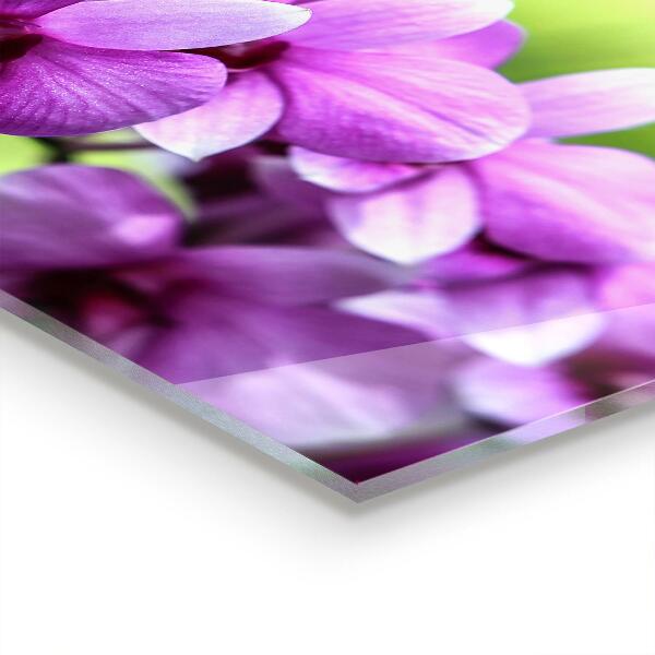 Kitchen splashback Purple orchid