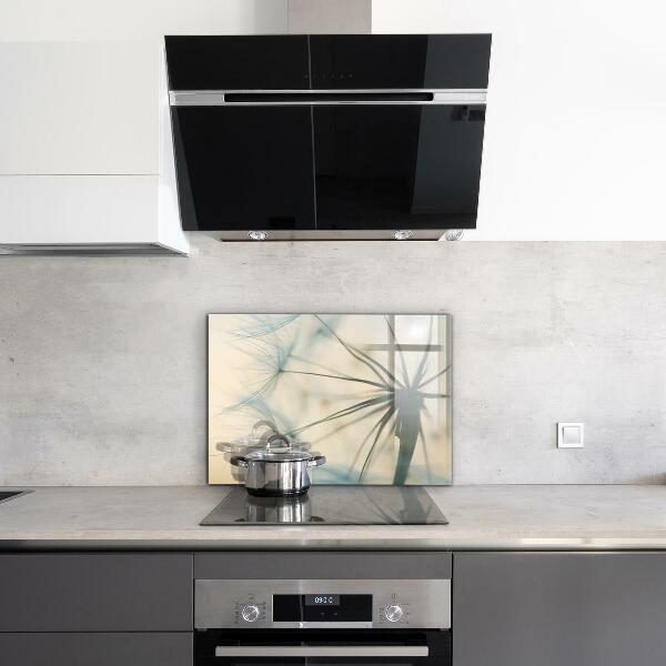 Kitchen splashback Beautiful delicate dandelion