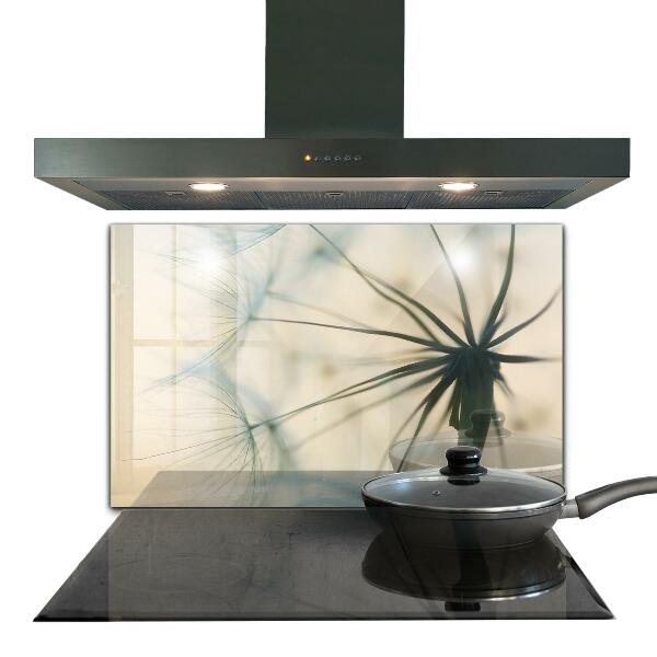 Kitchen splashback Beautiful delicate dandelion