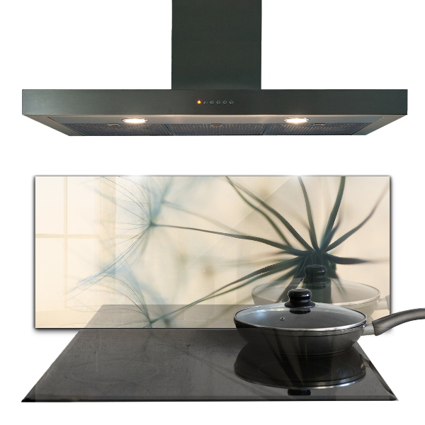 Kitchen splashback Beautiful delicate dandelion