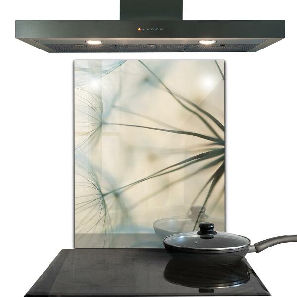 Kitchen splashback Beautiful delicate dandelion
