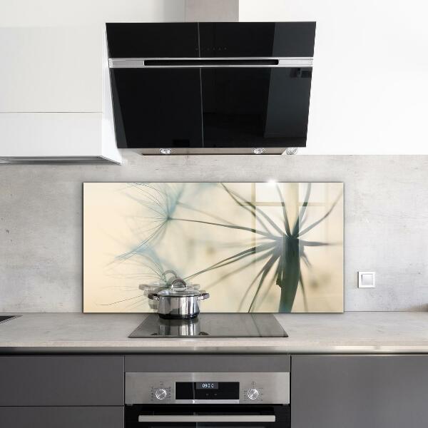 Kitchen splashback Beautiful delicate dandelion
