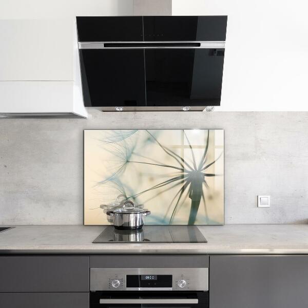 Kitchen splashback Beautiful delicate dandelion