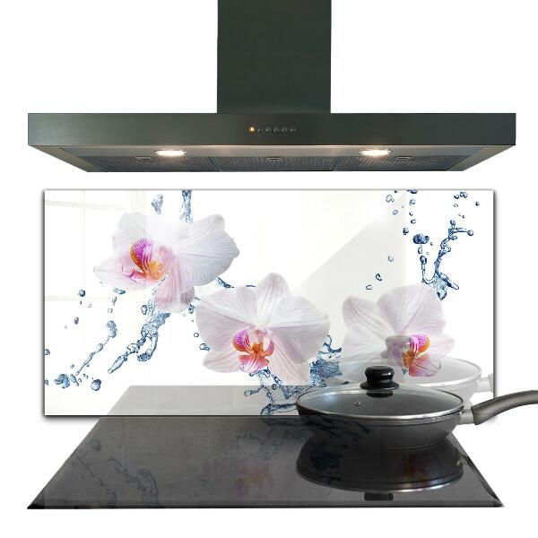 Kitchen splashback Orchid sprinkled with water