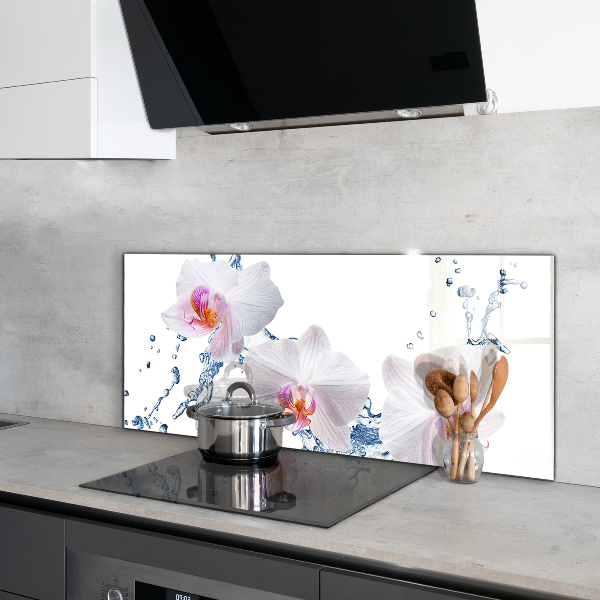 Kitchen splashback Orchid sprinkled with water