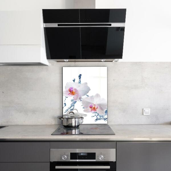Kitchen splashback Orchid sprinkled with water