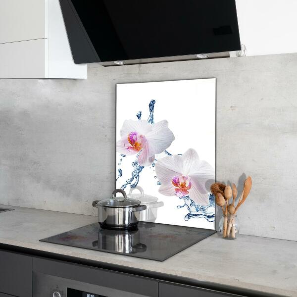 Kitchen splashback Orchid sprinkled with water