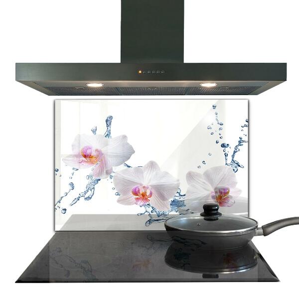 Kitchen splashback Orchid sprinkled with water
