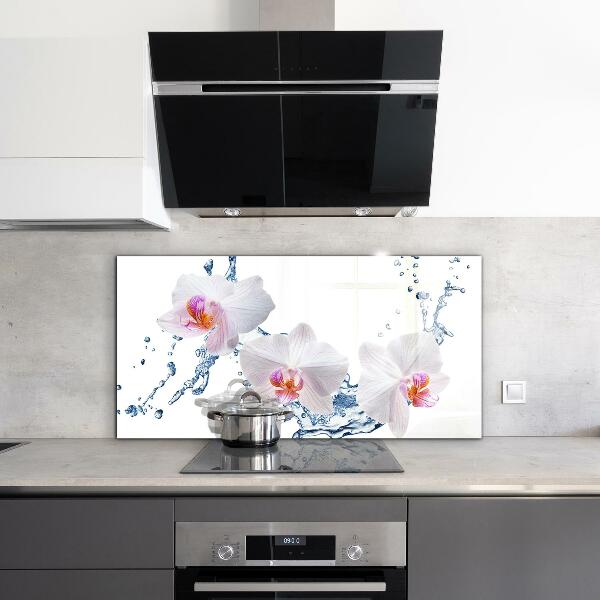 Kitchen splashback Orchid sprinkled with water