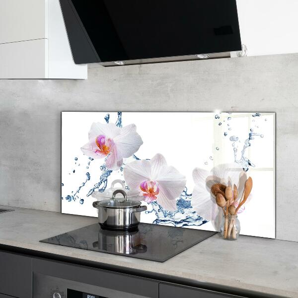 Kitchen splashback Orchid sprinkled with water