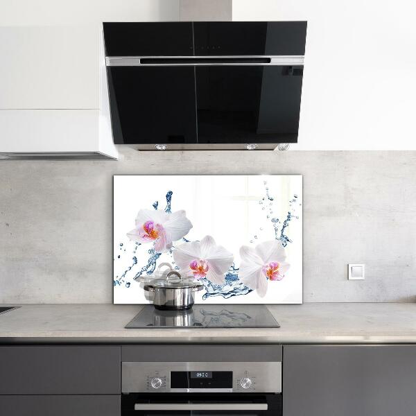 Kitchen splashback Orchid sprinkled with water