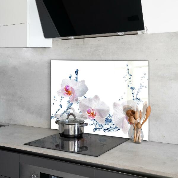 Kitchen splashback Orchid sprinkled with water