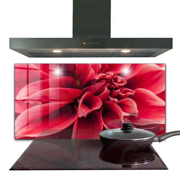 Kitchen splashback Energetic flower power of nature