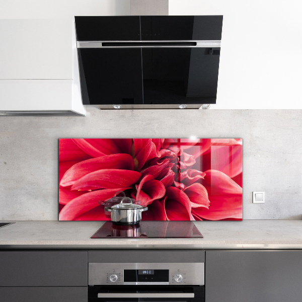 Kitchen splashback Energetic flower power of nature