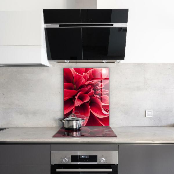 Kitchen splashback Energetic flower power of nature
