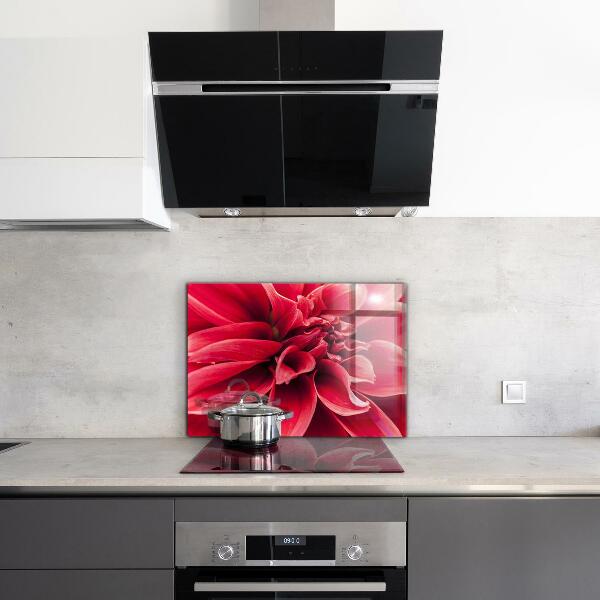 Kitchen splashback Energetic flower power of nature