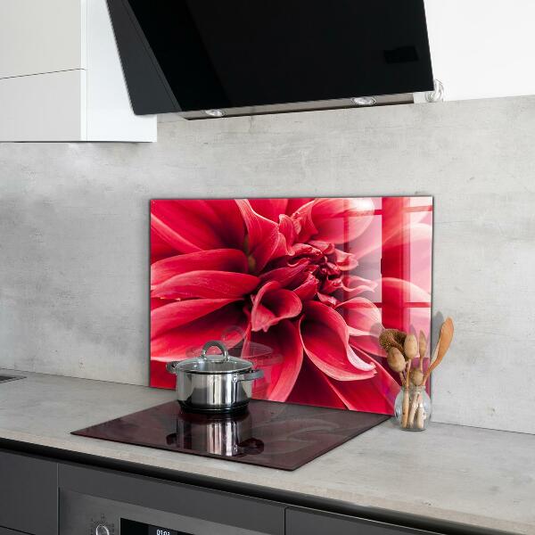 Kitchen splashback Energetic flower power of nature