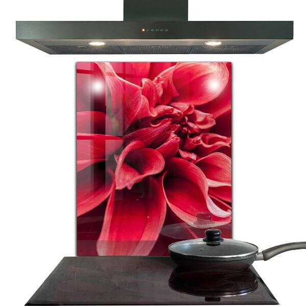Kitchen splashback Energetic flower power of nature