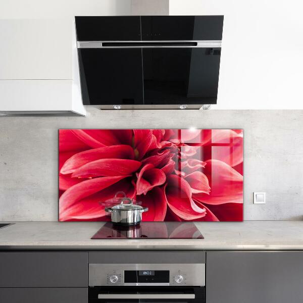 Kitchen splashback Energetic flower power of nature