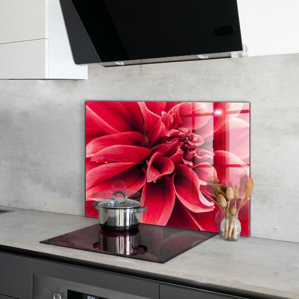 Kitchen splashback Energetic flower power of nature