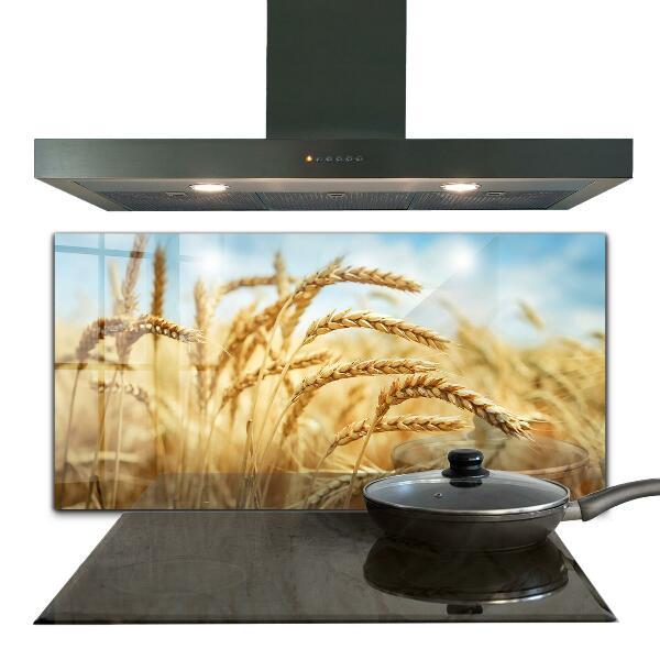 Kitchen splashback Grain gifts of mother nature