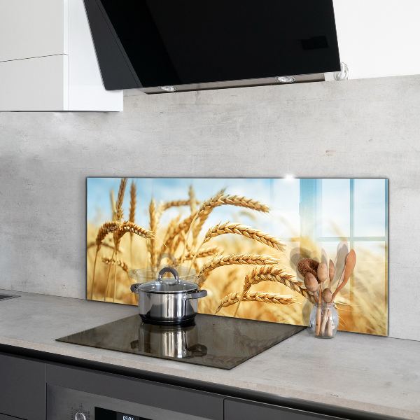Kitchen splashback Grain gifts of mother nature