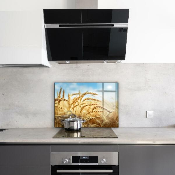 Kitchen splashback Grain gifts of mother nature